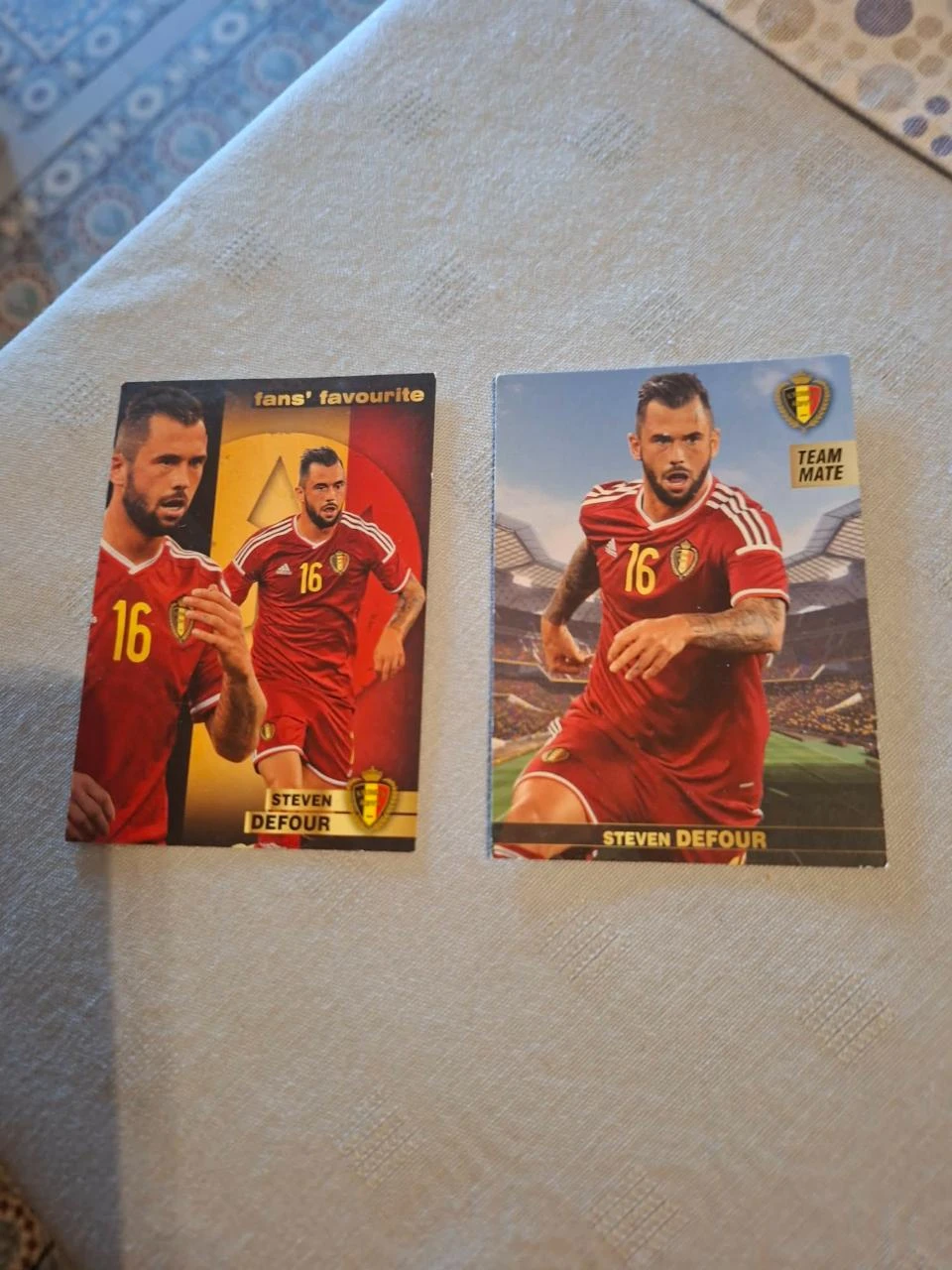 Panini / 2 Voetbalkaarten / Steven Defour / Rode Duivels